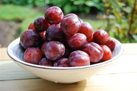 PLUM .